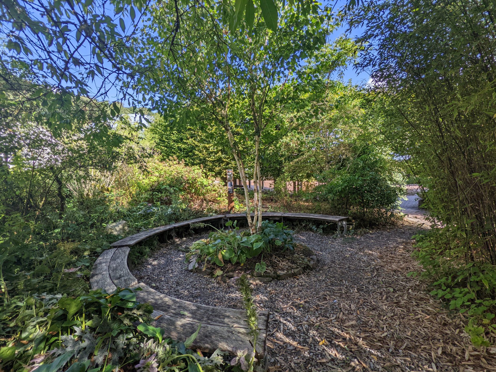 Echo Point at Eden Project